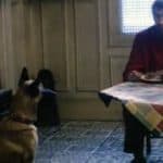 ミッシェル氏の犬