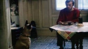 ミッシェル氏の犬