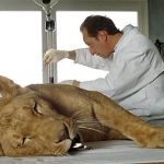 イン・ヒズ・ハンド